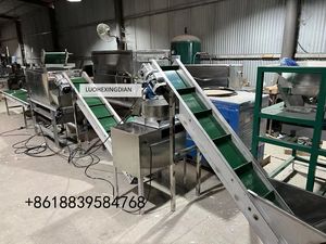 Otomatik tam Set sarımsak üretim hattı içerir sarımsak temizleme kırma soyma sıralama İşleme makinası - Product Image 2