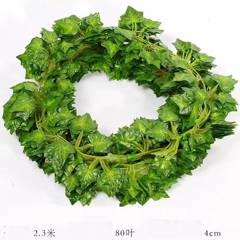 A-81 leaves Green
