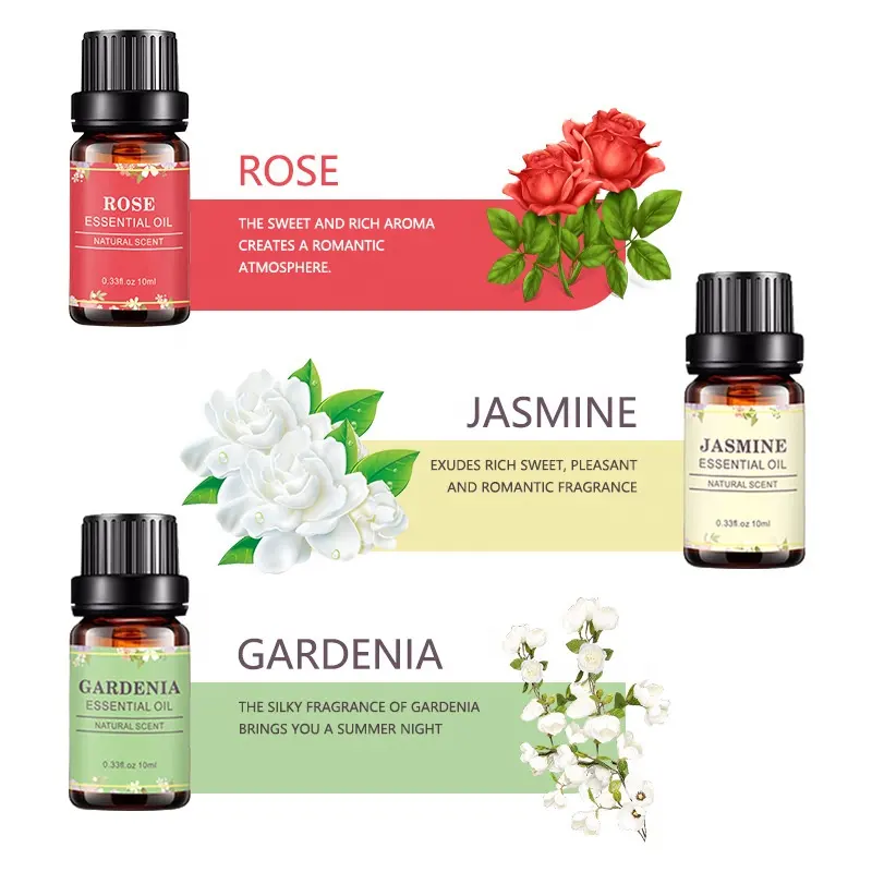 100% profumi di fiori naturali grado terapeutico puro Top 6 Set regalo di oli essenziali per aromaterapia