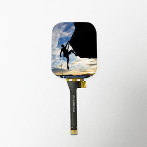 2.0 inch 240*296 high brightness <strong>IPS</strong> custom <strong>tft</strong> <strong>lcd</strong> panel screen <strong>display</strong> <strong>module</strong> - Product Image 5