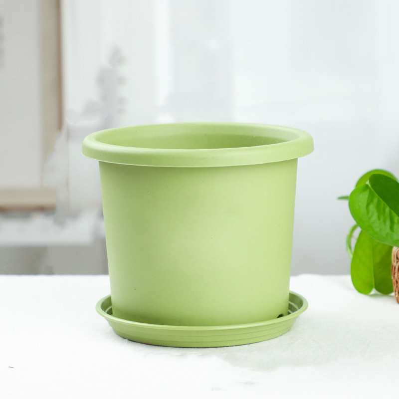 Plateau de fruits verts