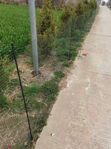 <strong>FENCE</strong> NET with Knotted or Knotless Net for Protecting