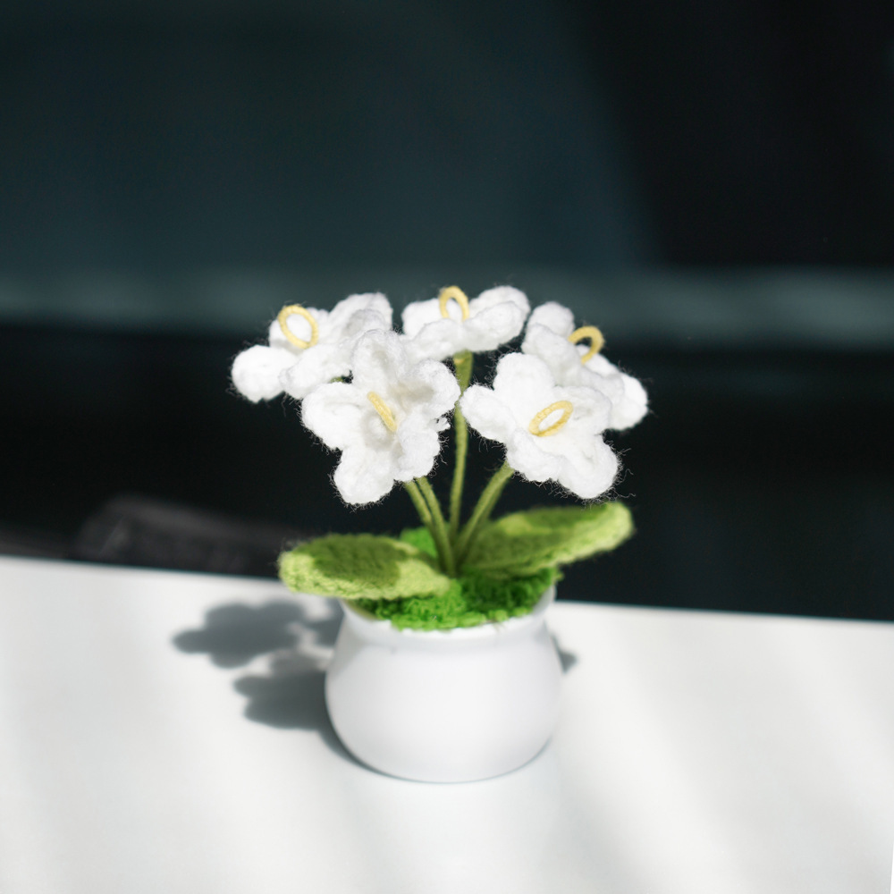 Bonsaï myosotis blanc