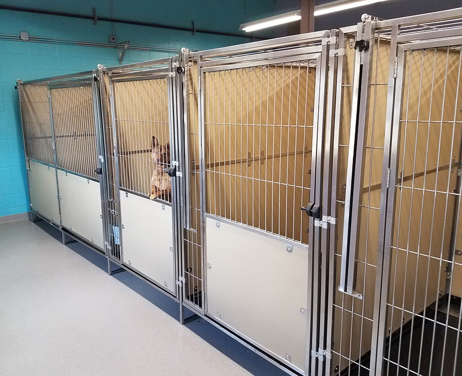 HDPE Draining Kennel with Wire Grid Door