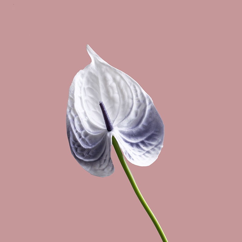 White1