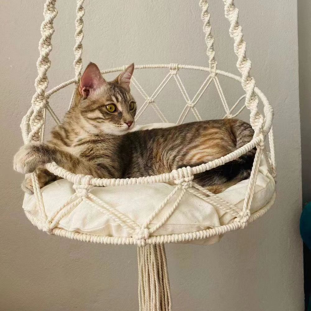 Panier inférieur de chat de pente de double cercle sans diamètre de tapis
