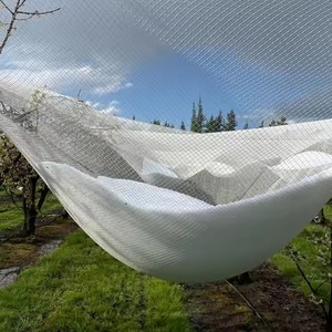 Çin üretici 100% bakire Hdpe Uv dayanıklı tarım elma meyve bahçeleri Anti Hail fırtına koruma ağı için elma ağacı üzüm - Product Image 5