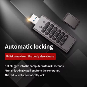 2024新的趋势定制标志安全数字密码锁1gb 2GB u盘USB3.0 Pendrive u盘 - Product Image 2