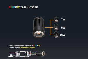 Evolite 24V RGBCW Led Spot <strong>Light</strong> DMX512 DALI Control Dimmable RGBCW RGBW Lamp <strong>Light</strong> Led Downlight EvoliteLL 8W-30W - Product Image 3
