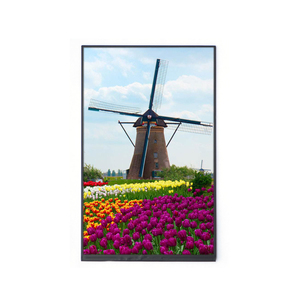 800x1280 IPS 10 "LCD-Display mit Treiber platine Raspberry pi kompatibel - Product Image 3