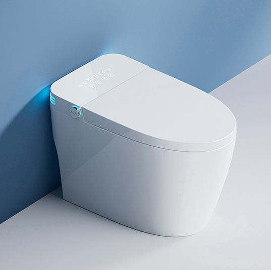 Blanc-fonction simple (sans réservoir)