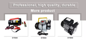 DYB40 Electric Transfer <strong>Pump</strong> High-Performance Rotary <strong>Pump</strong> for Diesel Kerosene Iron Low Protection Features for Liquid <strong>Oil</strong> - Product Image 5