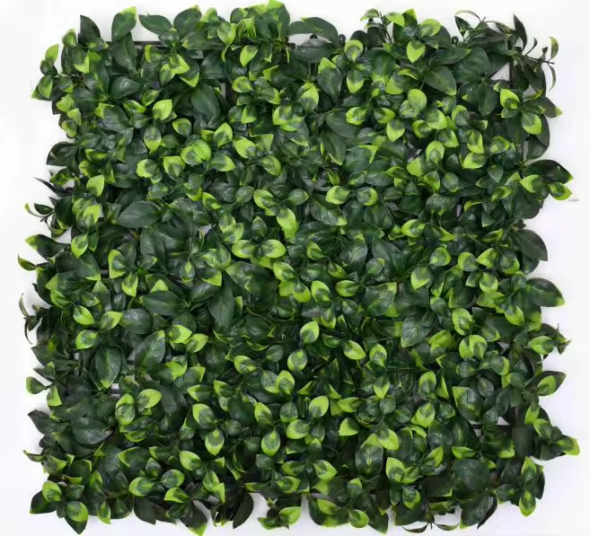 Green-RSF-50*50cm-2