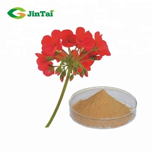 Заводская поставка, экстракт герани, 10:1,20:1 порошок экстракта герани для продажи - Product Image 1