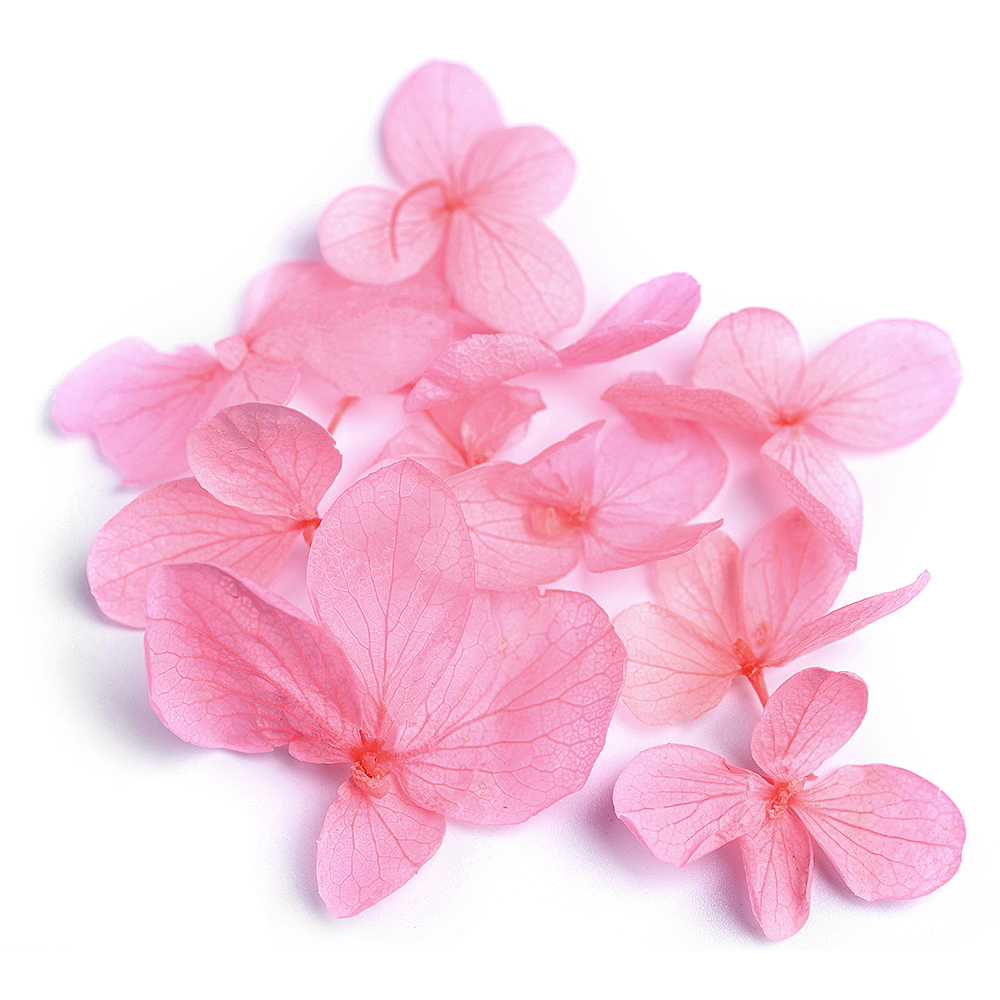 Pink Hydrangea Petals
