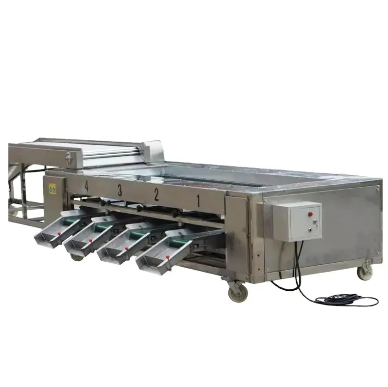 Otomatik büyük Sizge sıralama makinesi domates sıralayıcı makine ticari patates Sizer sıralama makinesi meyve sıralayıcı