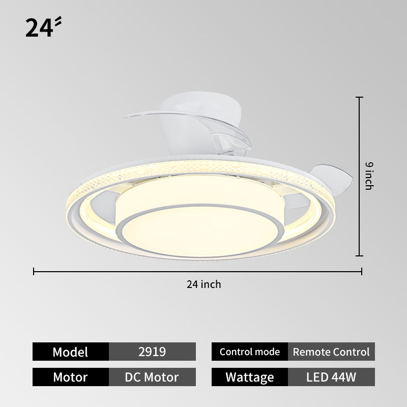 2919 + ขาว + 24นิ้ว