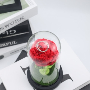 2025 Hot Selling LED Light Glass Dome Galaxy Crochet Rose Flowers With One Mini <strong>Bear</strong> for Christmas Valentine's Day Birthday <strong>Gift</strong> - Product Image 3