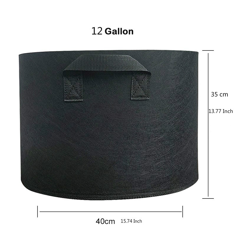 Noir 12 gallons