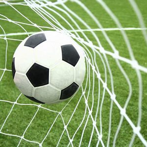 Dış ticaret sınır ötesi futbol Net profesyonel maç sınıf kalınlaşmış polietilen futbol Net standart maç futbol gol Net - Product Image 3