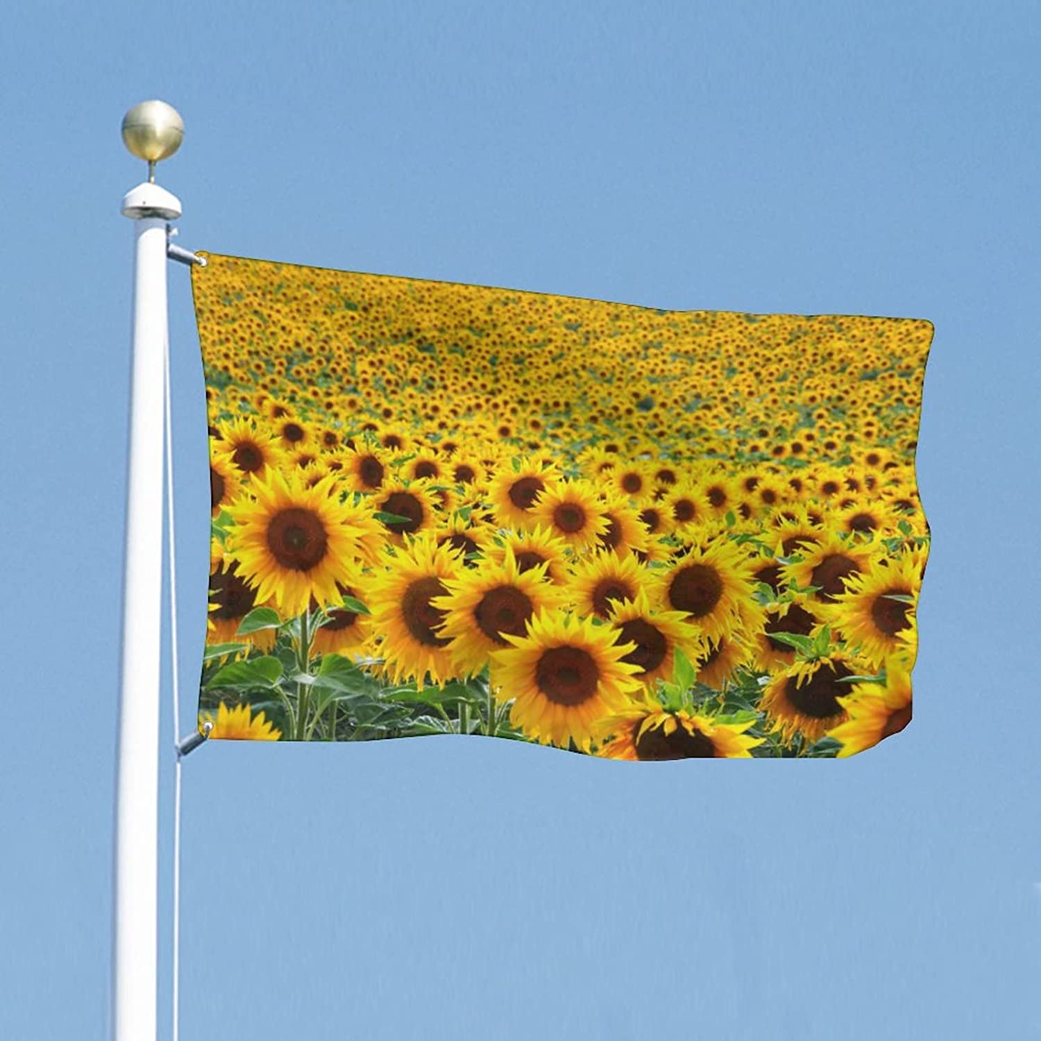 Tournesol
