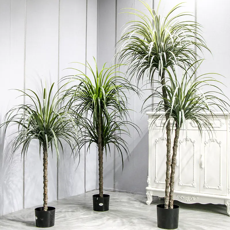 Piante artificiali vendita calda bonsai alberi naturali vaso artificiale pianta albero da interno grandi piante artificiali bacino albero