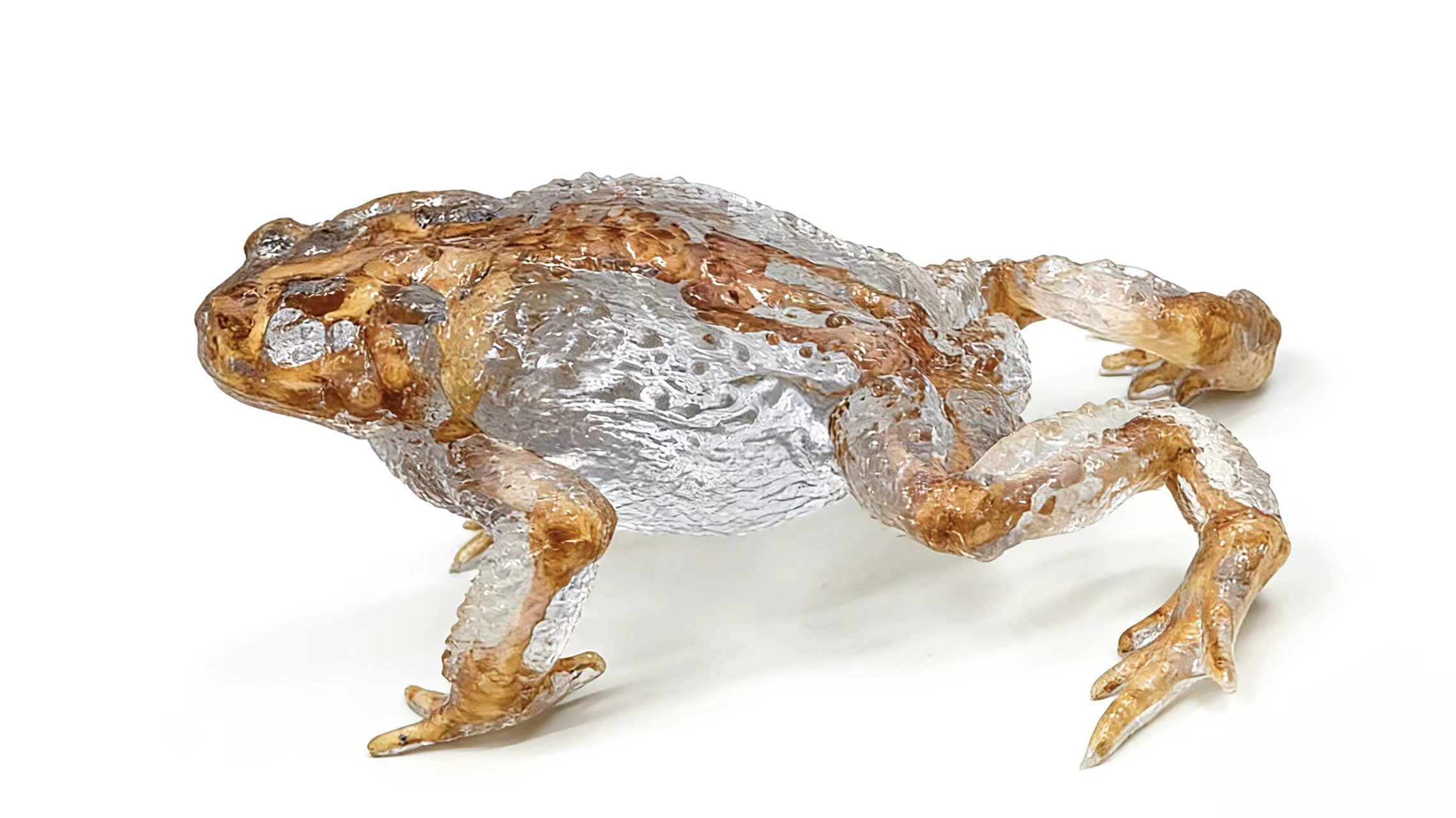 Transparent