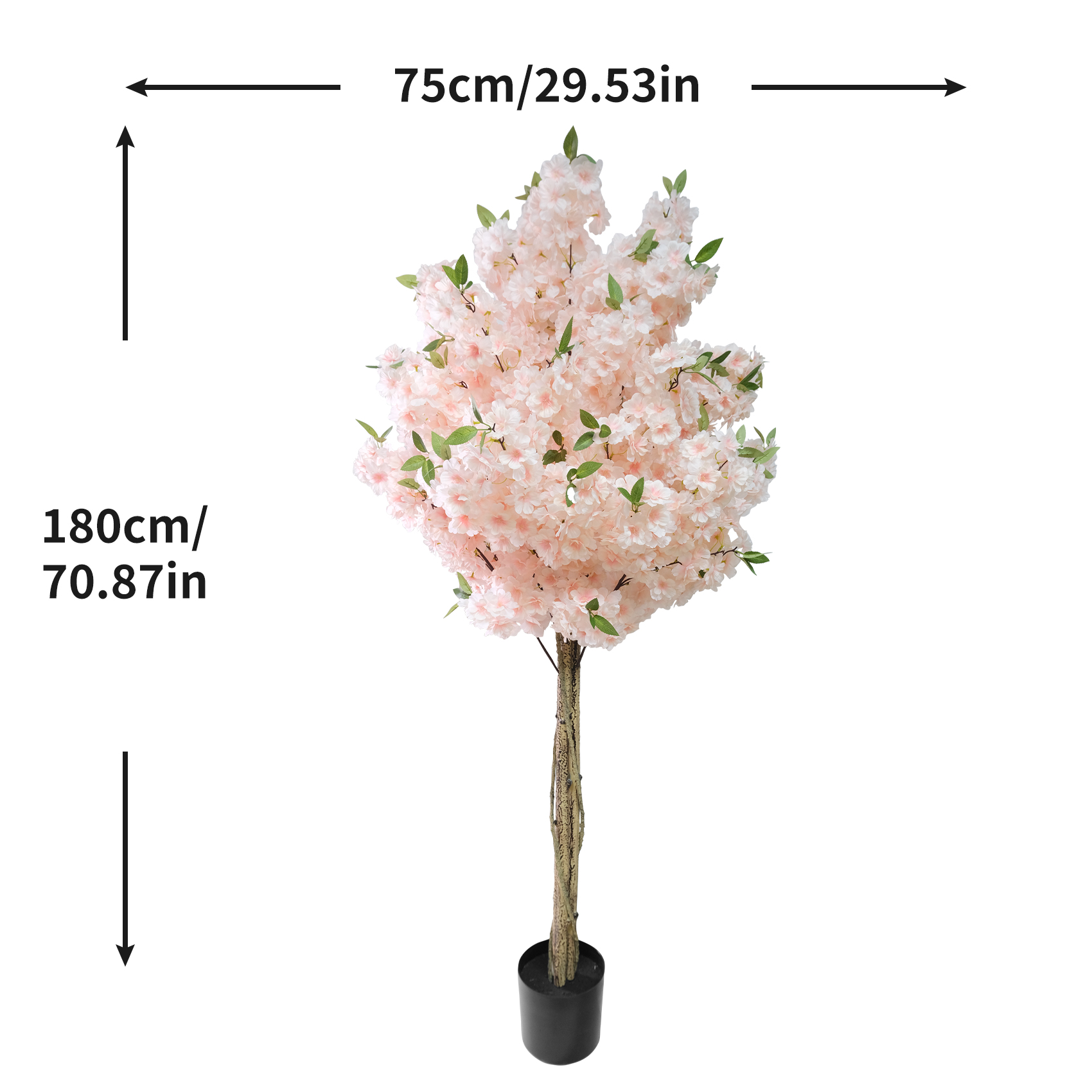 Champagne HZ2602-0202