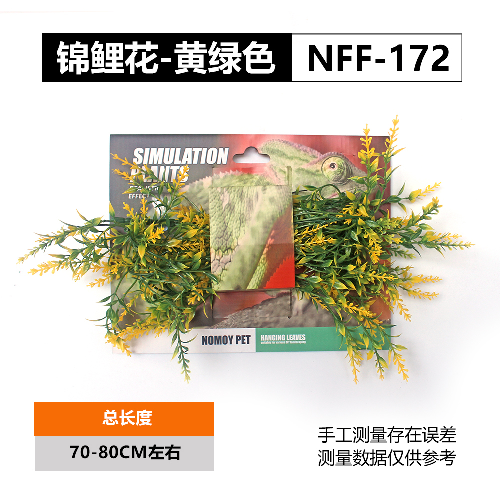 NFF-172
