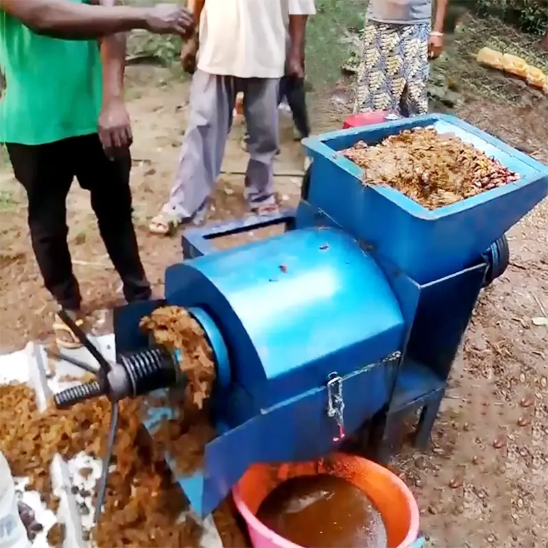 Máquina de extração de óleo de palma para uso doméstico, máquina de extração de óleo de cobertura fria
