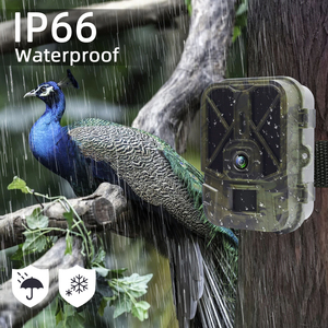 4K 30FPS 36MP IP65 APP-Steuerung mit Cloud-Service IR Cellular Trail Kamera 4G Jagd kamera Bewegungs sensor 4G HC-940Pro - Product Image 4