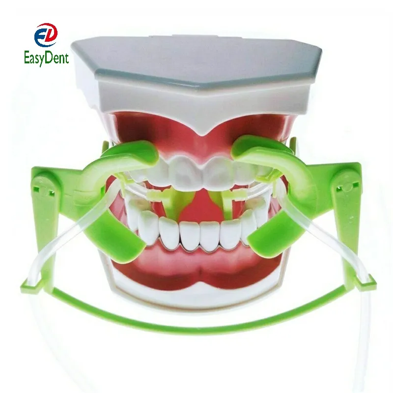 Système de succion dentaire de sèche, 10 pièces, écarteur Nola ajustable, orthodontique, pour lèvres, bouche sèche