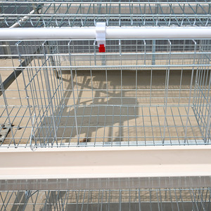 छोटे पैमाने के खेतों और कोप्स के लिए चिकन बैटरी पिंजरे में छोटे पैमाने के खेतों और कोप्स के लिए प्रजनन - Product Image 6