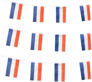 Banderines de poliéster personalizados de México, banderines de triángulo mexicano, venta al por mayor - Product Image 3