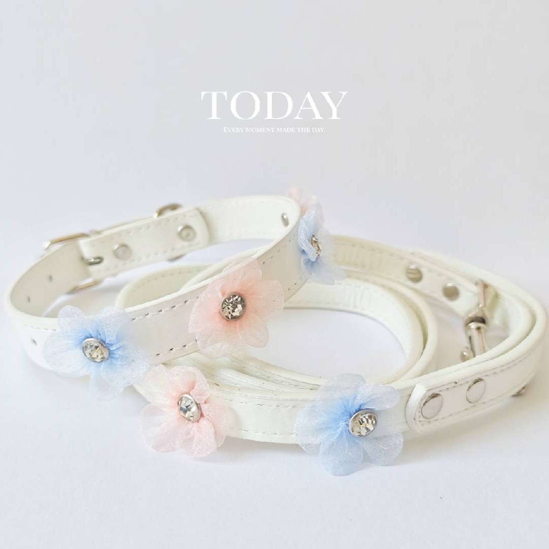 Ensemble bleu et rose