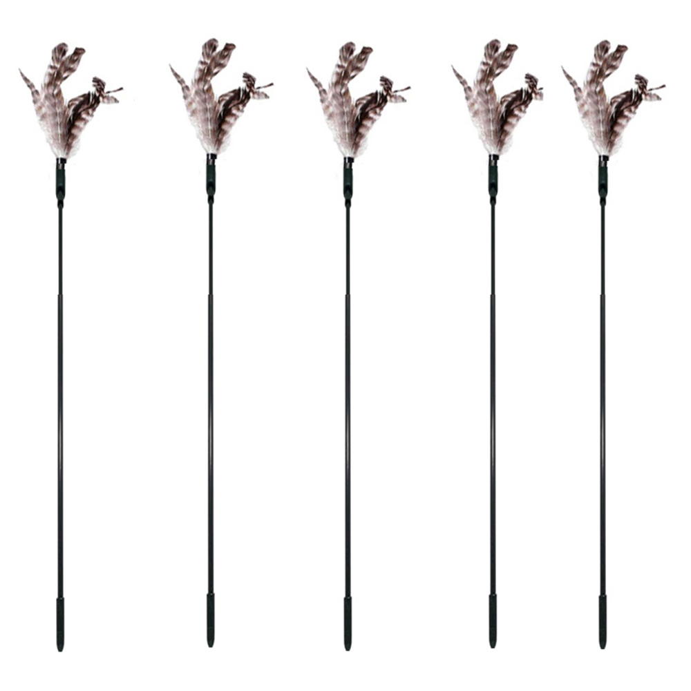 1 ensemble de 5 pièces, motif 3