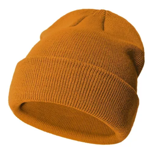 Chameau coloré