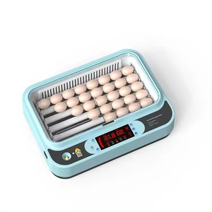 2023 Factory Direct New Design Mini Egg <strong>Incubator</strong> Digital Temperature Control Automatic 64 Eggs Chicken Eggs - Product Image 3