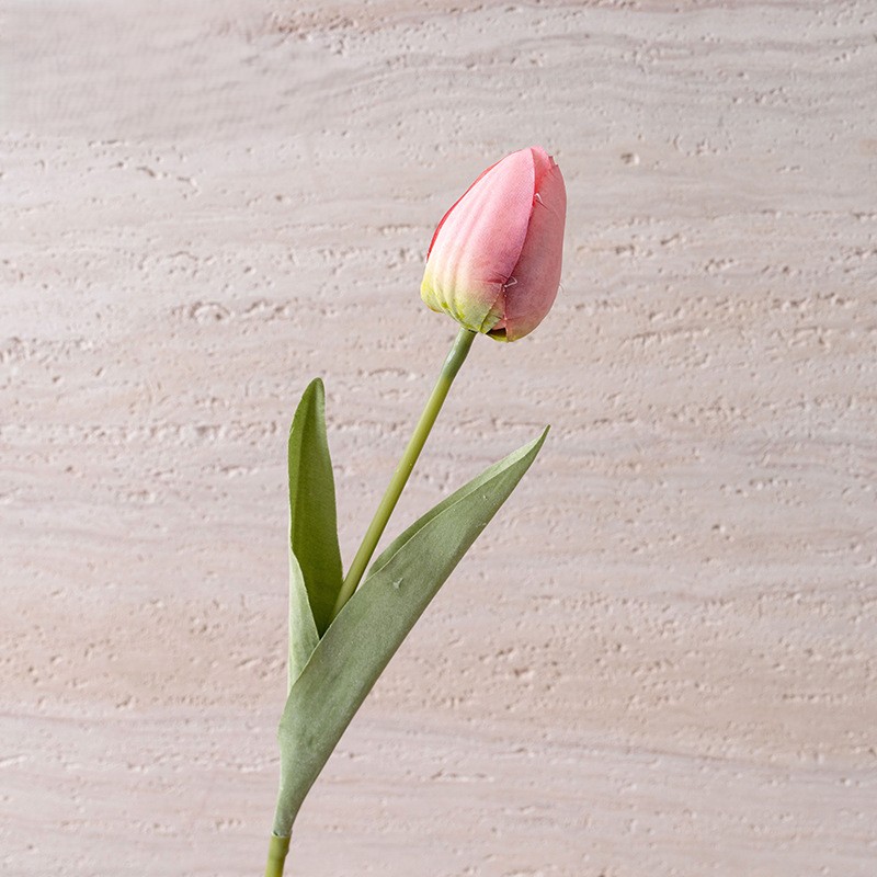 Rose1