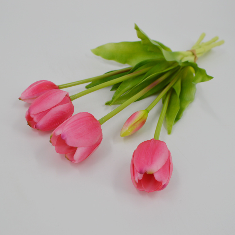 Rosa scuro