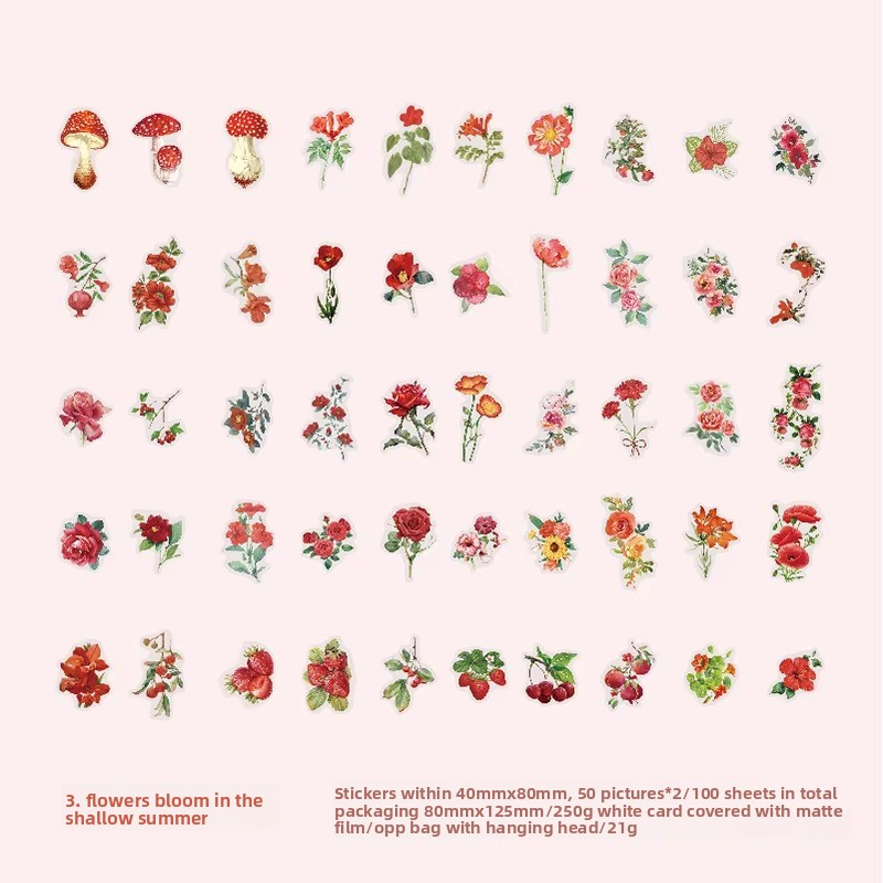 C 3.Fleurs Bloom-rose