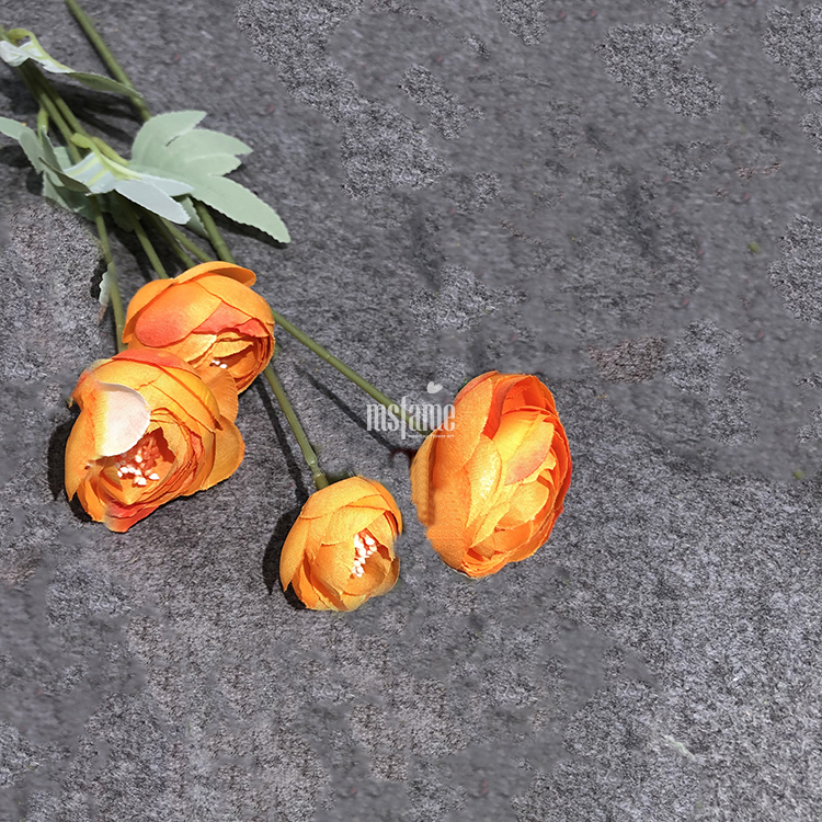 กุหลาบสี6