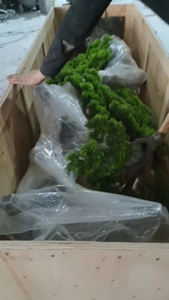 2024 yeni özelleştirmek 3m yükseklik özelleştirmek peyzaj kapalı ağaç yapay selvi çam bonsai ağacı - Product Image 4