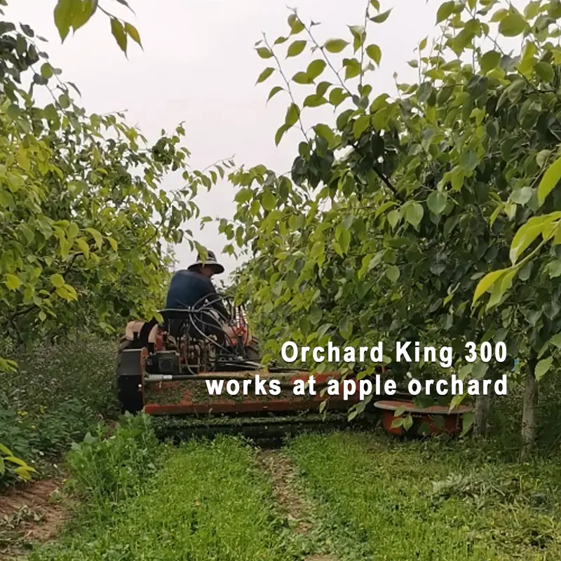 Orchard King 300B orchard apple, апельсиновое дерево, косилка для трактора