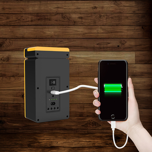 Kit de generador de energía solar portátil Sistema solar pequeño para uso doméstico con luz de camino - Product Image 6