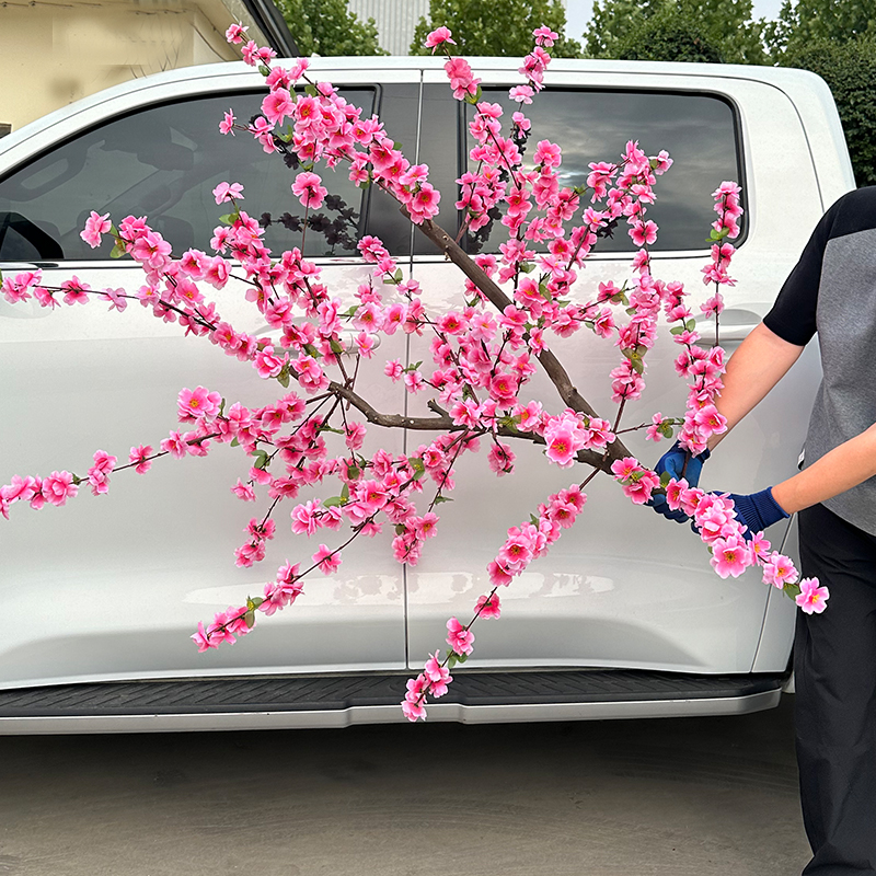 un mètre carré d'espace