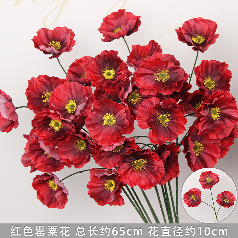 Bouquet de coquelicot rouge à 3 tiges