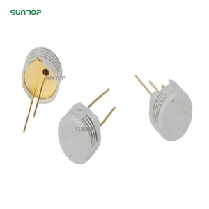 Sensore di umidità HS1101 sensore di umidità per frigorifero congelatore regolatore di temperatura e umidità - Product Image 1