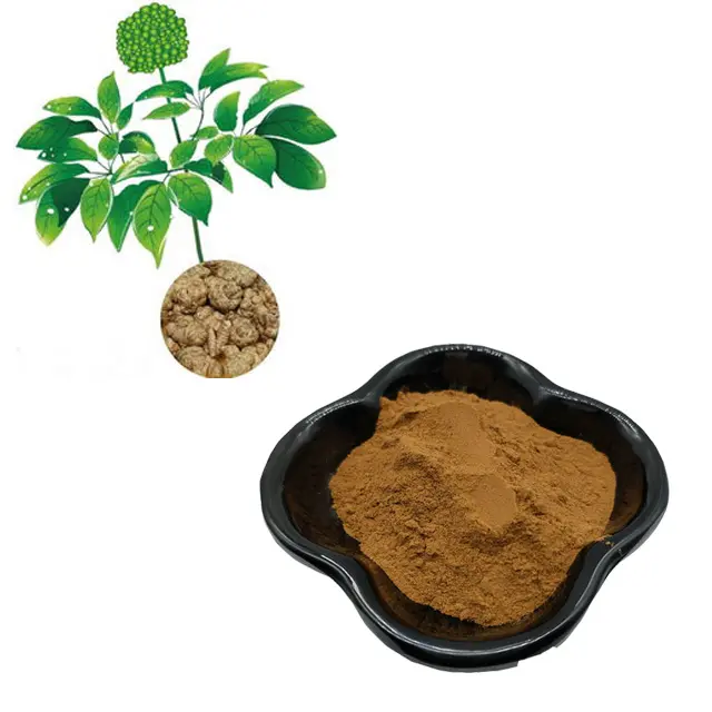 HONGDA Panax Notoginseng estratto in polvere saponine 60%