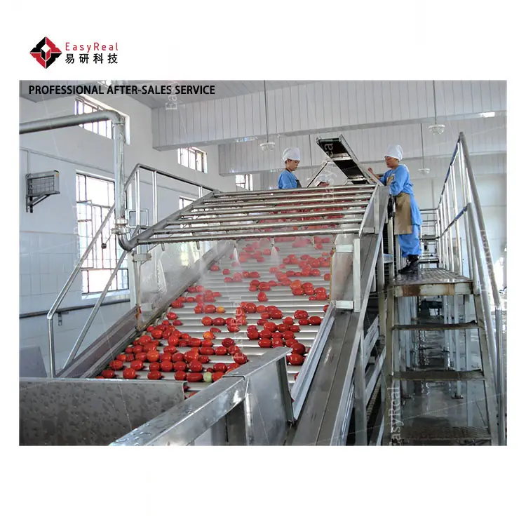 Linea di produzione del concentrato del pomodoro dell'impianto di lavorazione della salsa del concentrato di pomodoro della buona macchina di fabbricazione